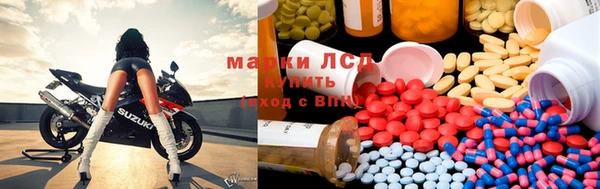 винт Осташков
