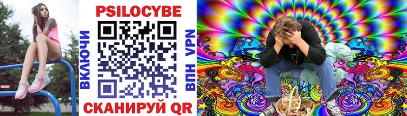 Галлюциногенные грибы Psilocybine cubensis Адыгейск
